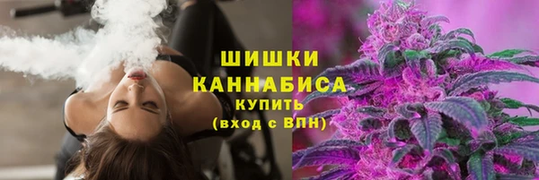 мдпв Бугульма