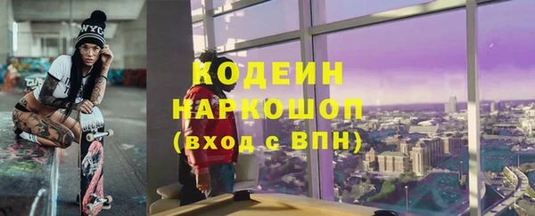 молекула духа Бронницы