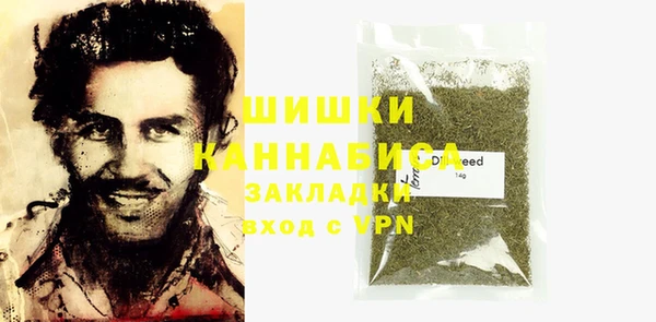 молекула духа Бронницы