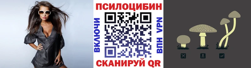 Галлюциногенные грибы Psilocybine cubensis  Купить  Каменногорск 